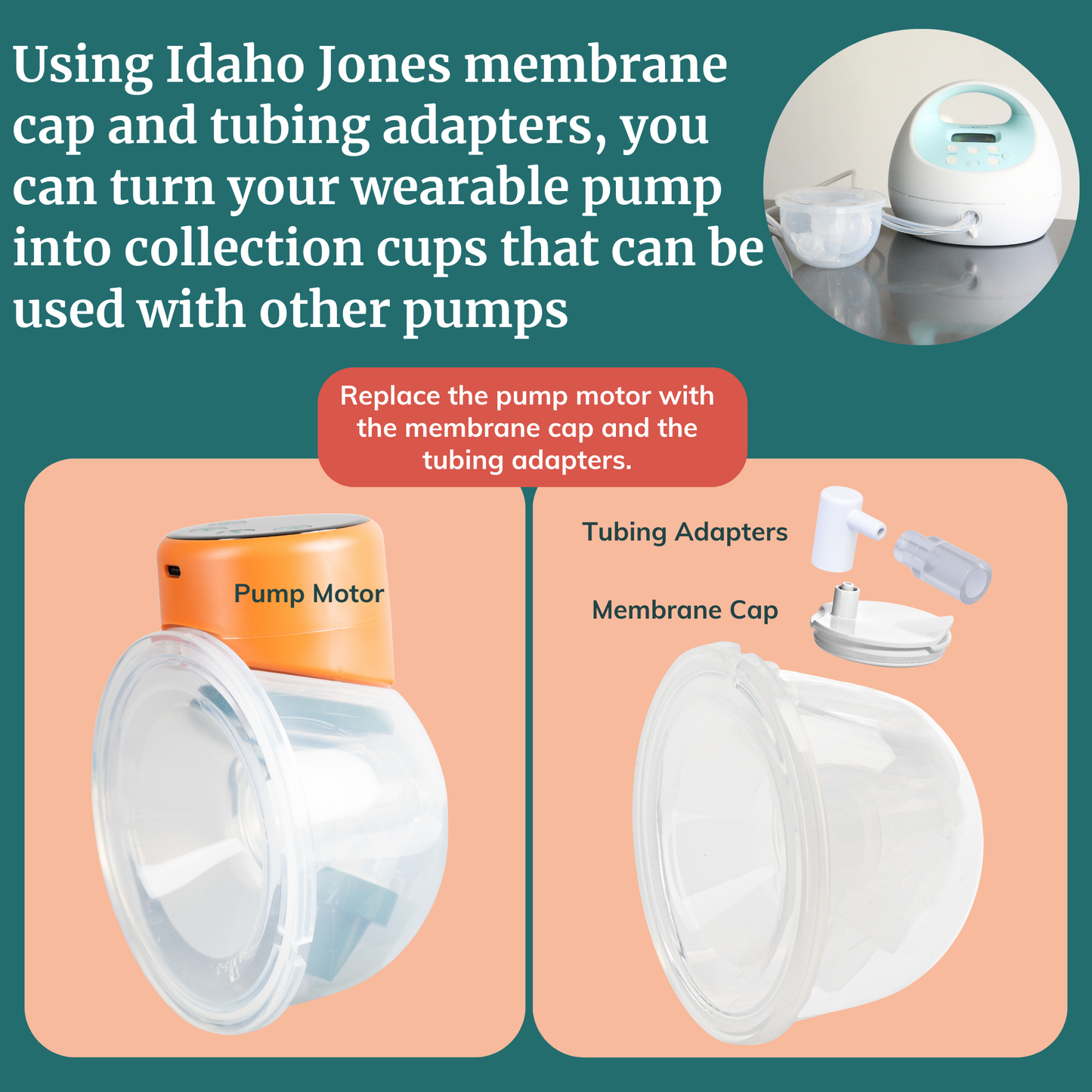 Membrane Caps for Wearables