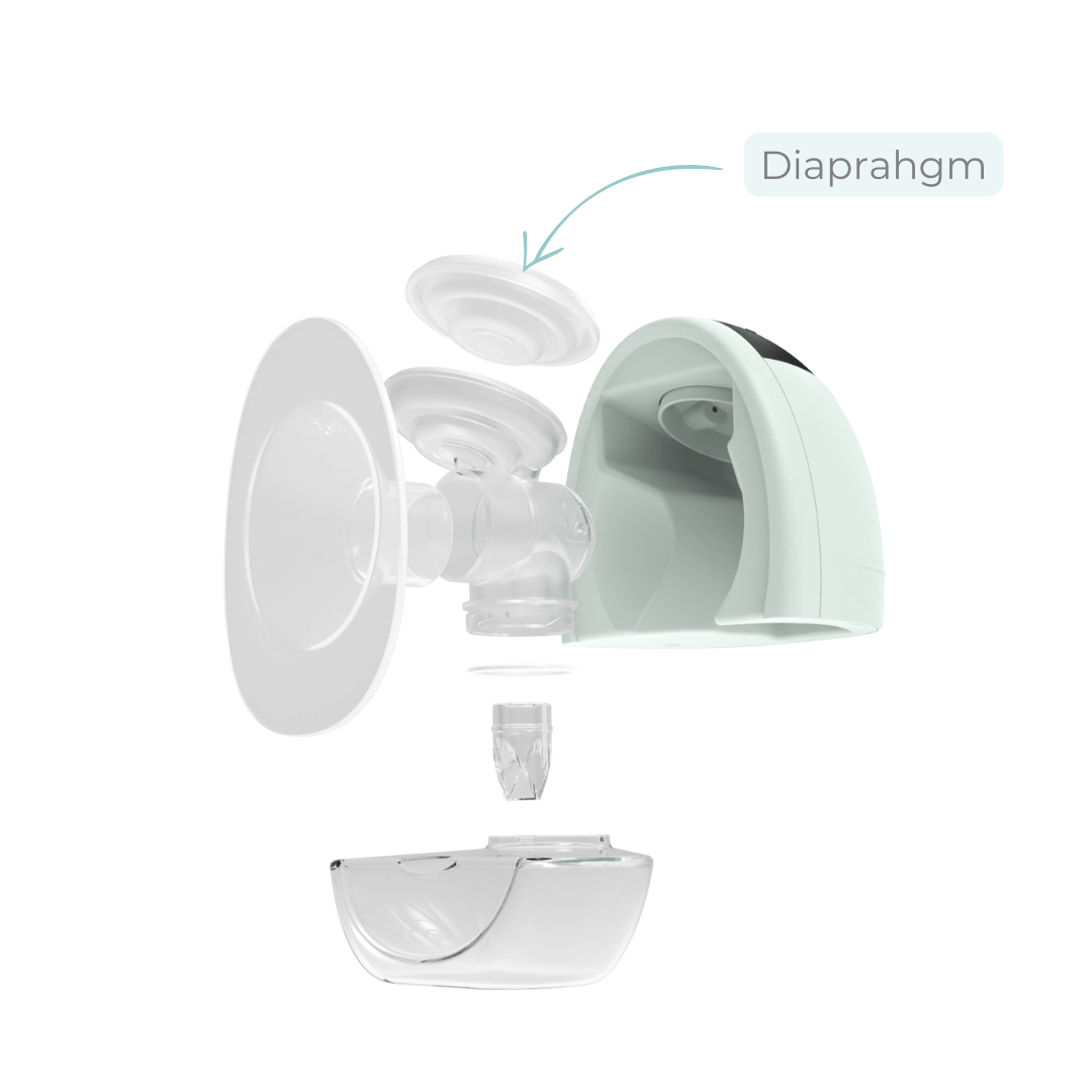 Zomee Fit Diaphragms